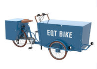 Capacità di carico elettrica della bici 300KG del carico del triciclo alta con tempo di impiego lungo