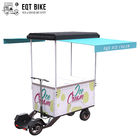 EQT 138 litri di bici molli del gelato da vendere la bici del congelatore del carico di vacanza estiva del carretto del congelatore che vende il gelato elettrico