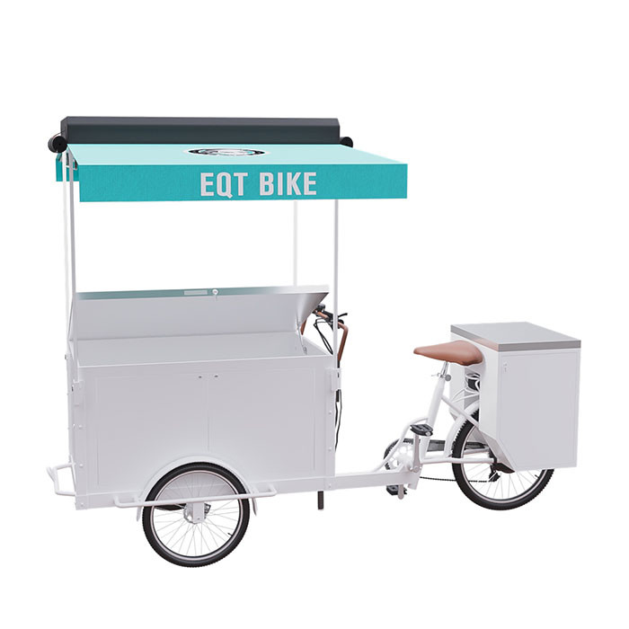 Operazione conveniente di marca su misura bici elettrica del carico del triciclo per una persona