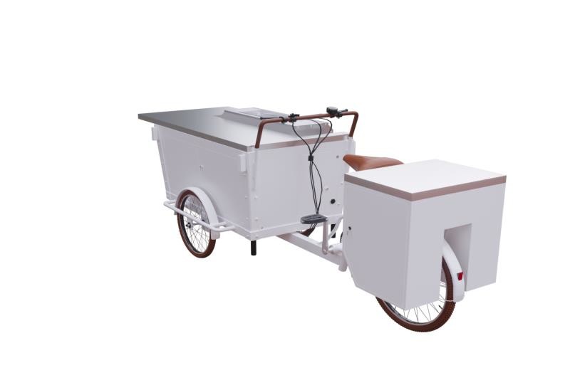 Carretto integrato di vendita del barbecue della struttura del contenitore di triciclo
