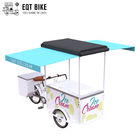 Carico del triciclo della bici del gelato di EQT per la bicicletta elettrica della bici del congelatore di vendita di affari della via per le bevande fredde