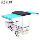 Carico del triciclo della bici del gelato di EQT per la bicicletta elettrica della bici del congelatore di vendita di affari della via per le bevande fredde