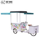 La bici di EQT 138L o di 110L Front Load Tricycle Ice Cream da vendere CC ha alimentato l'alimento Trike dei carretti del triciclo del congelatore