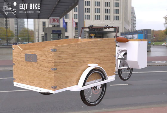 Triciclo elettrico del carico di stile della struttura di scatola del carico ruggine olandese della bici dell'anti